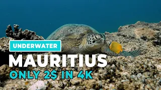 Mauritius islands | Scenic Underwater | Cinematic 4K footage