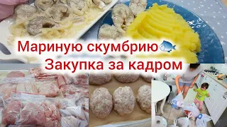 Мариную скумбрию. Разделываю мясо и птицу. Разбираю закупку. Что остаётся за кадром