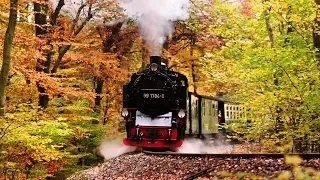 ● Steam Train Compilation 2018 HD Vol.21 - Germany - Europe