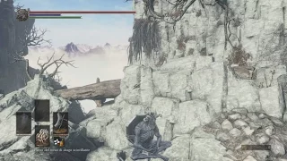 Dark Souls 3 - Camouflage Dragon Trolling