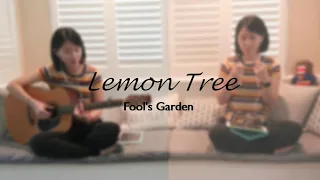 Lemon Tree│Fool's Garden│Cover By Gigi