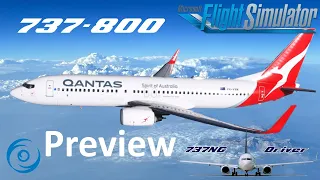 PMDG 737-800 Preview | Real 737 Pilot