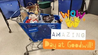 Should I Get Another Cart?! - Shop Along With Me - Goodwill Thrift Store