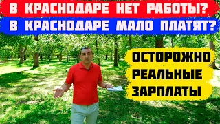 👷Работа в Краснодаре. Сколько реально зарабатывают в Краснодаре [Часть 1]