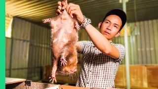 Vietnamese SUPER RATS for Dinner!!! Asia's Pandemic Proof Food!! | Surviving Vietnam Part 2