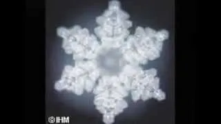 Dr. Emoto - Effects on Water Crystals