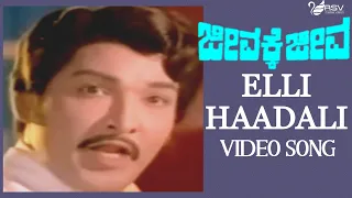 Old Kannada Video Song | Jeevakke Jeeva |   Gangadhar  | Elle Haadali Elle Hogali