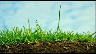 Ґрунт. Відео для дітей. / Soil. Videos for children.