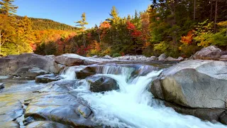 USA Autumn River flowing through fall foliage 4k. River Sounds/ Sleep / Study/ Relax /Anxiety relief