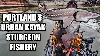 Portland's Urban Kayak Sturgeon Fishery