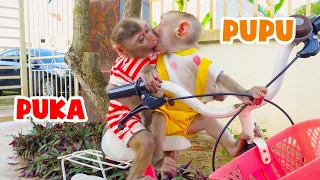 Monkey Pupu visits monkey Puka and has fun together!