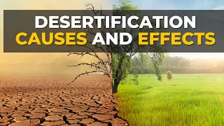 Desertification Causes and Effects