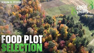 How to Create the Best Staging Plot for Deer