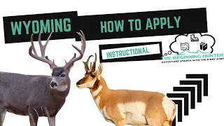 How to Apply: Wyoming Nonresident Antelope