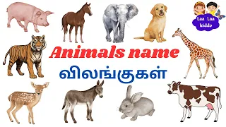 விலங்குகள் பெயர்கள்/Learn Animals Name in Tamil and English for kids/Educational Video/@laalaakiddo