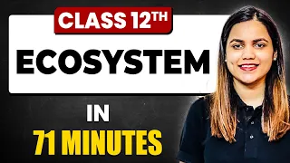 ECOSYSTEM in 71 Minutes | Biology Chapter 14 | Full Chapter Revision Class 12th