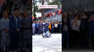 Martial arts Shaolin part9 #backflip #Shaolin #funnyvideo #Muaythai #WingChun #kungfu