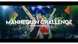 DJ Goldie Emeralda x Jesse Wilde - Mannequin Challenge