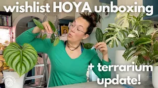 Wishlist Hoya unboxing + terrarium update | Plant with Roos