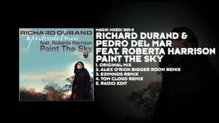 Richard Durand & Pedro Del Mar featuring Roberta Harrison - Paint The Sky