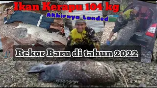 Rekor muara Timika Sementara di tahun 2022, Ikan Kerapu Monster 104 kg akhirnya berhasil landed