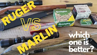 Ruger 10/22 vs Marlin Model 60 | Accuracy & Reliability