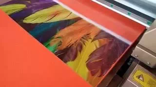 Door Printer In India , Door Printing Machine In India , How To Print On Almirah Door