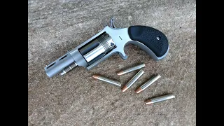 NAA Mini Revolver "Wasp" : Micro Wheelgun in 22 Magnum