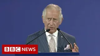 Diversity is Commonwealth's strength, Prince Charles says in Rwanda speech - BBC News