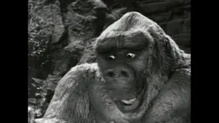 Decades of Horror: Son of Kong