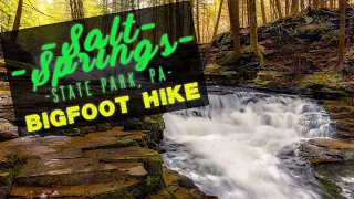 Bigfoot Hike in Salt Springs State Park, PA - ISOBRE