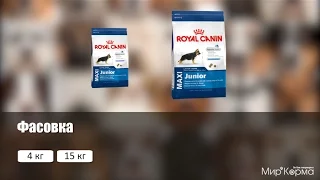 Обзор корма Royal Canin Maxi Junior