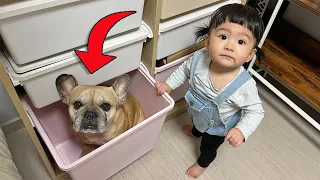 Can't Believe My Dog Does This With Our Baby ** IF I FITS, I SITS