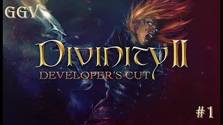 Первый раз в Divinity II: Developer's Cut / #1