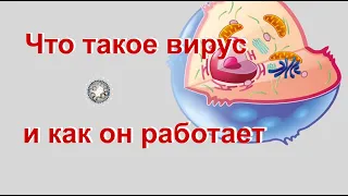 Что такое вирус и как он работает