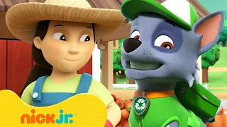 PAW Patrol Farmer Yumi's Best Moments! w/ Rocky 🚜 10 Minute Compilation | Nick Jr.