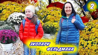 Харьковский Экопарк Фельдмана золотой осенью. 2 часть | Скорняковы