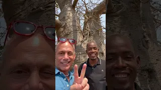 The largest Baobab tree in Africa is in Angola, Africa!