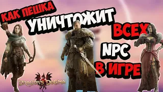 Секретная болезнь пешек в Dragons Dogma 2