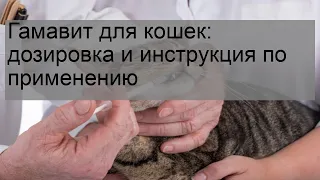 Гамавит для кошек: дозировка и инструкция по применению