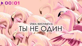 Вера Брежнева - Ты не один | Official Audio | 2021