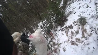 С Пенсионерами Доблестной Пожарной охраны На Зайца!!! Ну и без Гончих никуда !!!!!