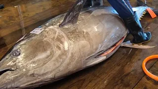 Easily Cut 458kg Bluefin Tuna in 3 Minutes