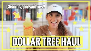 THE BEST DOLLAR TREE HAUL **BRAND NEW FINDS** VANESSA APPROVES