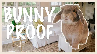 Bunny Proofing My House!