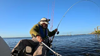 Fished 4 Docks For Dinner - 3 Losers, 1 Loaded With Fish - Why?