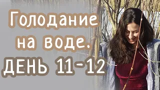 Голодание на воде, ДЕНЬ 11-12 (из 21)