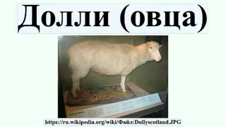 Долли (овца)