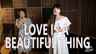 Love Is A Beautiful Thing ( Theo Katzman / Vulfpeck ) Cover - NAGALAND