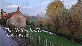 November: daily life in a rural area in the Netherlands | phone vlog